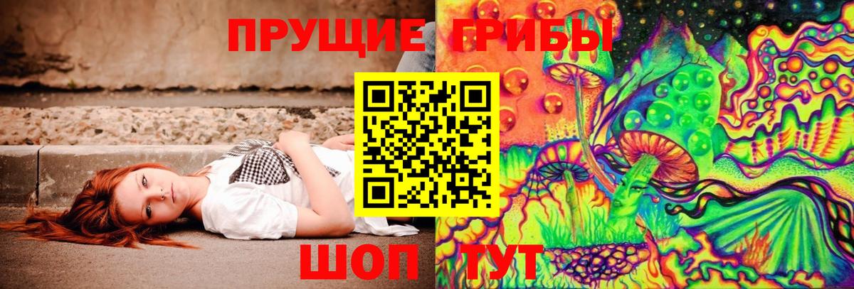 Псилоцибиновые грибы мицелий Кубинка